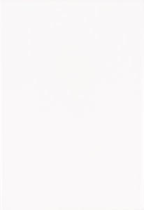 CERAMICA 30X58 WHITE MATE RECT (2.06)(60)